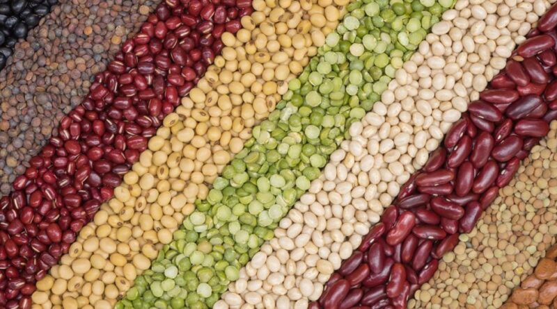 Safra de grãos de São Paulo deve ser 22% menor, aponta Faesp