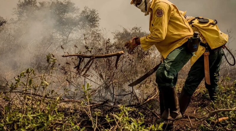 Incêndios Pantanal