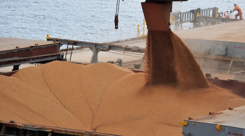 Navio sendo carregado de soja em grãos no Porto de Paranaguá