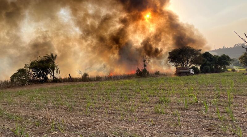 Incêndio em Monte Aprazível (SP)