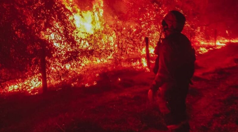 Situação de emergência por incêndio florestal cresceu 354% em agosto