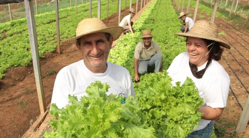 Seguro-desemprego para agricultor prejudicado por entressafra é aprovado