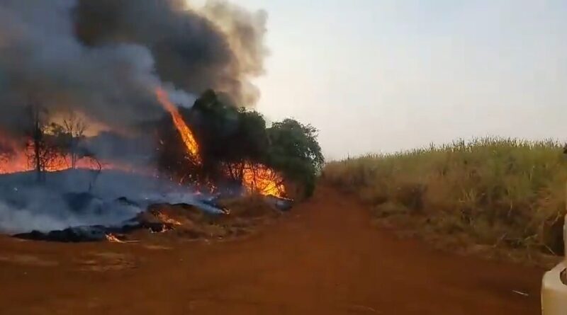 Incêndio em canavial Minas Gerais