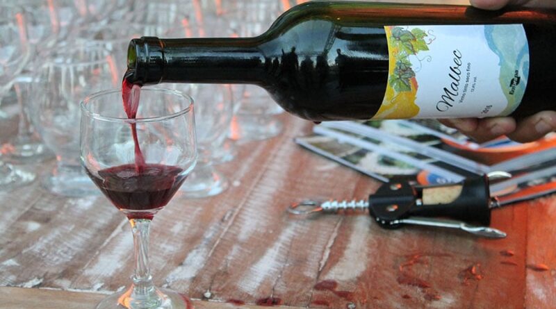 Foto: Edmea Ubirajara/Embrapa