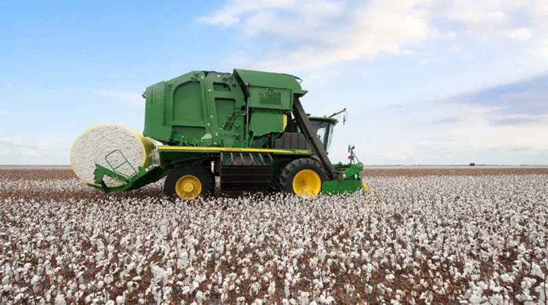 Brasil bate recorde na produção de algodão com inovação tecnológica e parcerias estratégicas