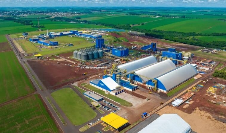 C.Vale, cooperativa, Paraná, soja