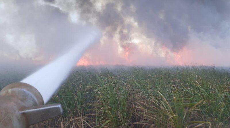 Incêndio lavoura cana campo novo do parecis