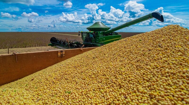plantio da soja segue lento no oeste da Bahia, aponta Aiba