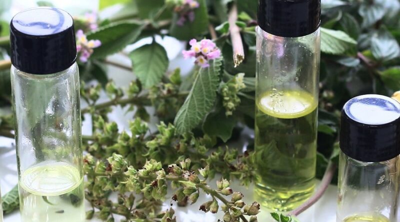 óleos, plantas, tambaqui