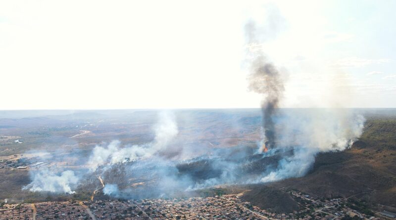 Nova temporada, especial Cerrado Sem Fogo, estreia na terça-feira, produção Canal Rural Bahia, série, novos episódios