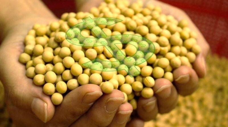 comercialização commodities