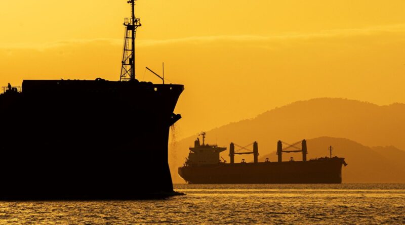 exportação, colágeno, mercados, Canadá, Egito, Mapa