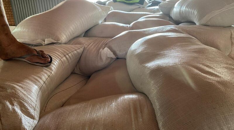 carga de arroz apreendida pela SEFA - Pará