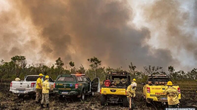 incêndio emergência climática SUS