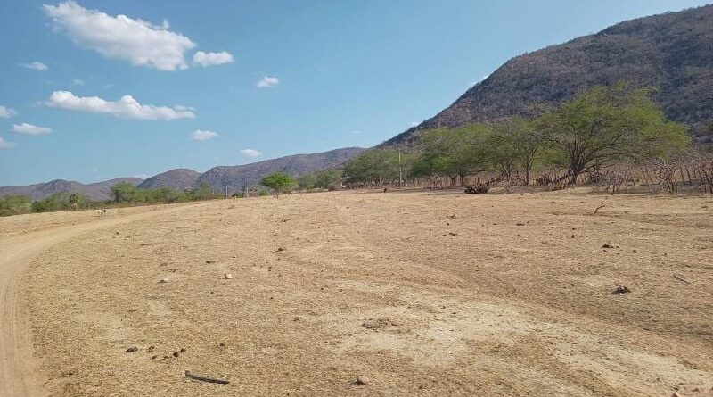 Restauração de áreas