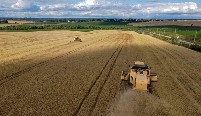 Lei define capital nacional da cevada e do malte