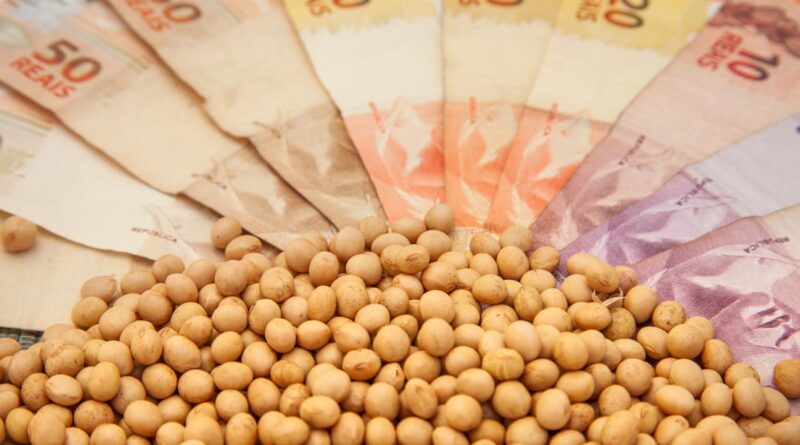preço soja cotação - preços ao produtor agropecuário