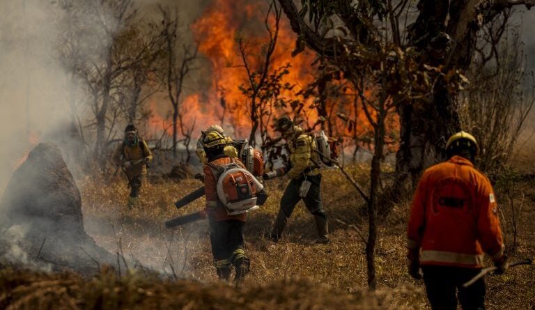 Incêndios Brasil
