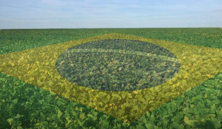 lavoura com bandeira do brasil agricultura