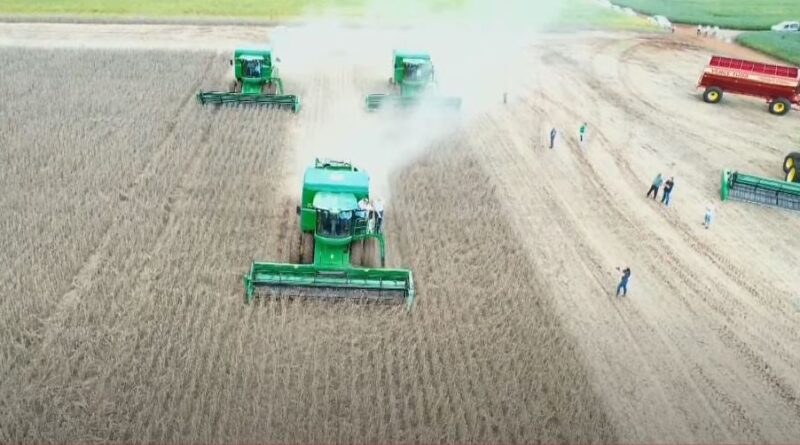 Abertura Colheita Soja