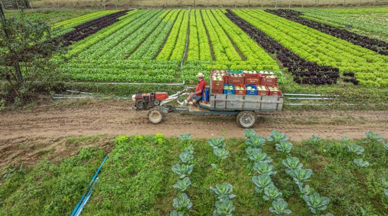 Santa Catarina investe mais de R$ 40 milhões em projetos de apoio aos produtores rurais