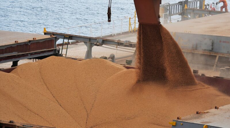 Navio sendo carregado de soja em grãos no Porto de Paranaguá