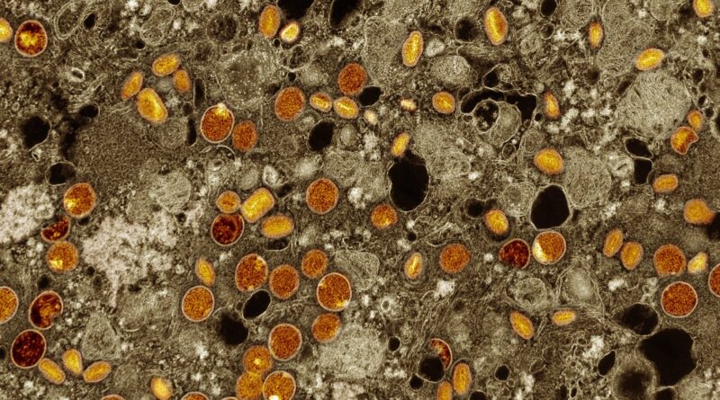 São Paulo lidera casos de mpox no Brasil, segundo boletim do Ministério da Saúde