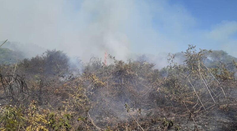 incêndios no pantanal - cbm-ms
