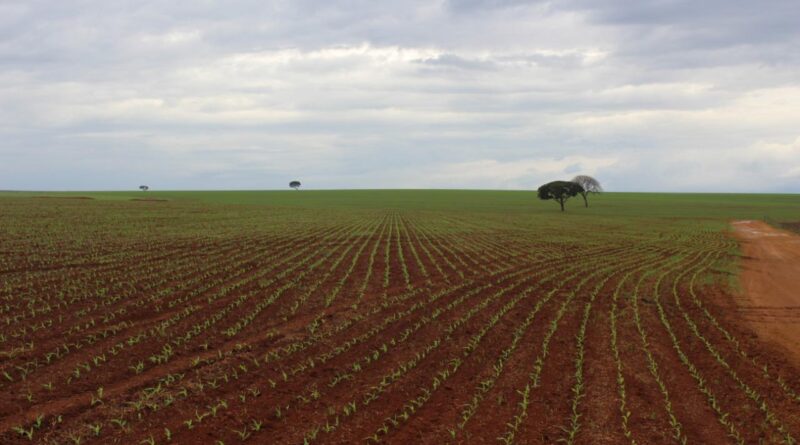 Abertura Nacional do Plantio de Soja