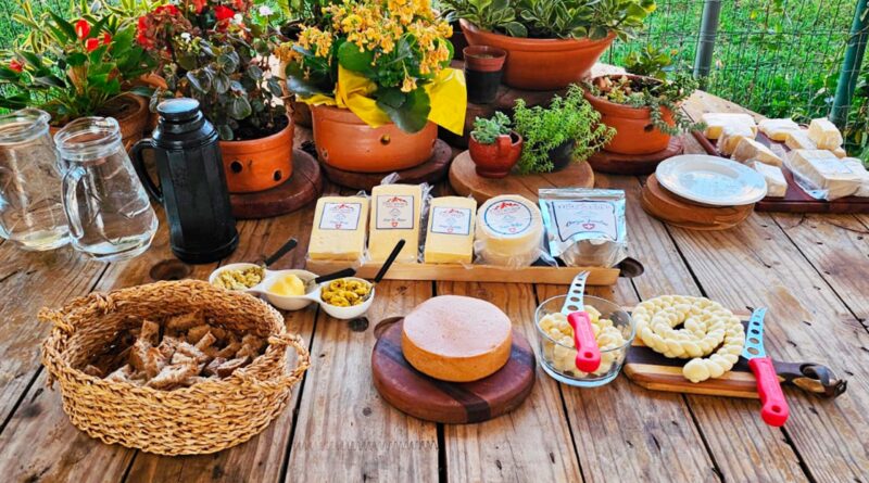 Queijo artesanal; queijaria