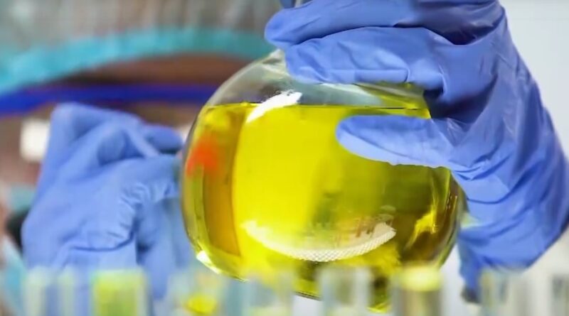 biocombustível - biocombustíveis