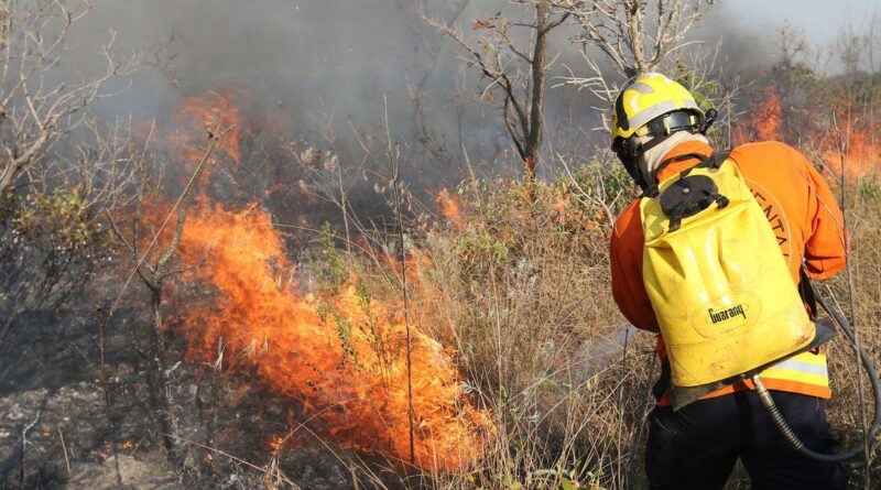 bombeiro apagando queimada, incêndio