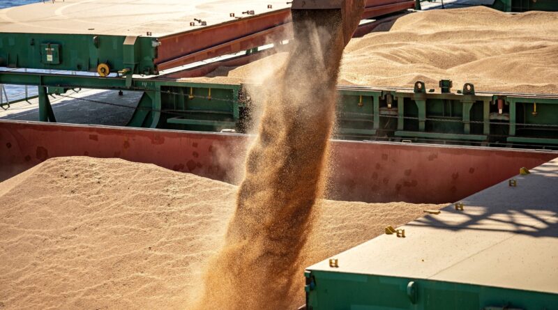 soja, grão, paranaguá, complexo soja