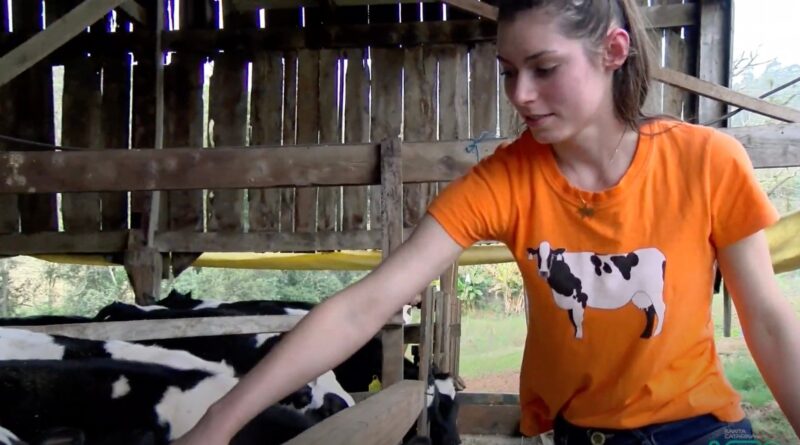 Giovana Rosalem, uma das filhas da familia Rosalem, trabalhando com os animais.