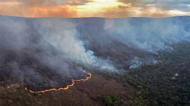 Incêndio queima 10 mil hectares do Parque da Chapada dos Veadeiros