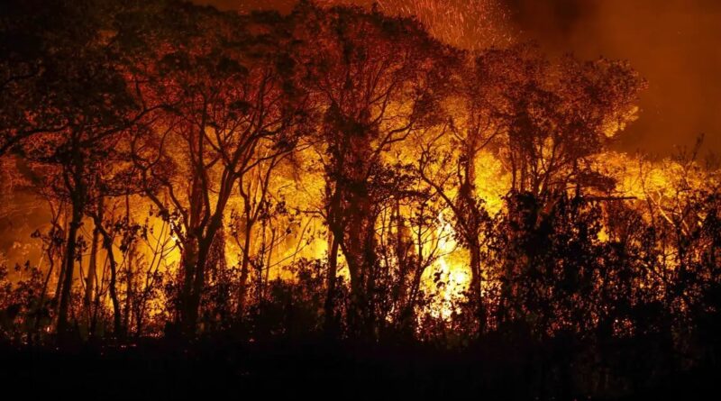 incêndio no Pantanal