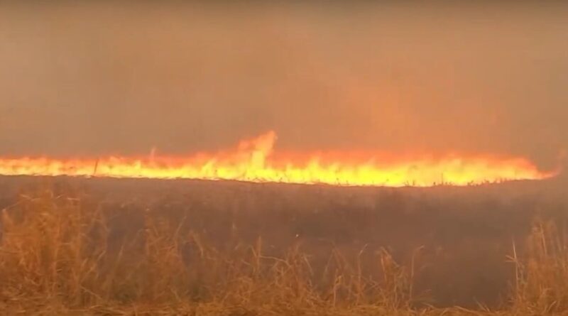incêndios devastam fazendas e maquinário em Mato Grosso