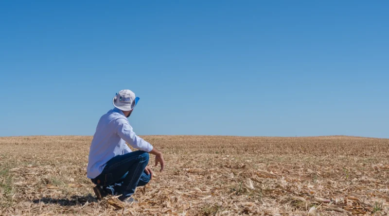 vazio sanitário da soja Tocantins