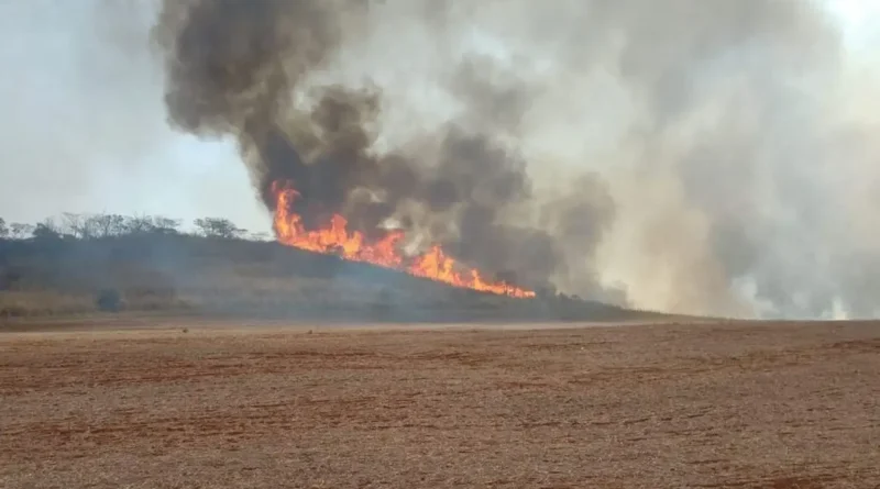 Brigadista morre durante combate a incêndio em São Paulo