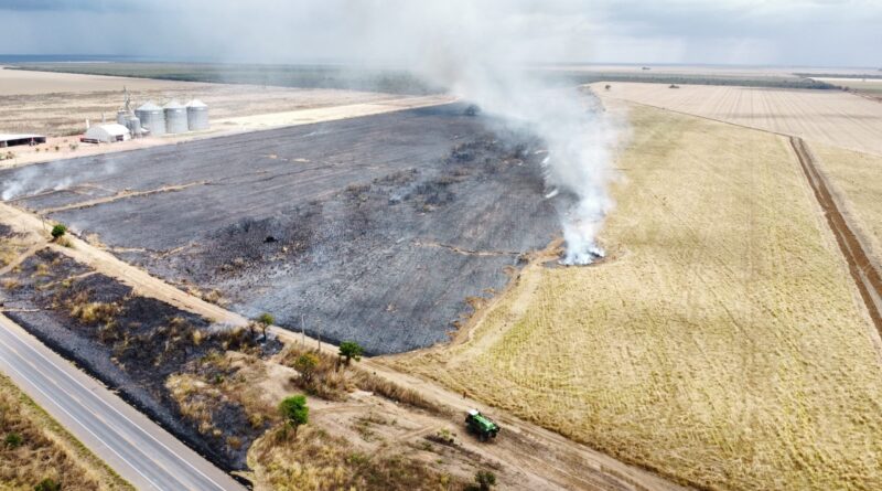 Área equivalente a 15 campos de futebol é atingida por incêndio em Luís Eduardo Magalhães. Bombeiros levaram cerca de 24 horas para finalizar combate
