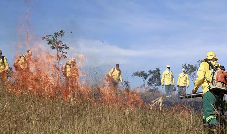 dunas, Jalapão, Tocantins, queimadas, Cerrado, estado de emergência