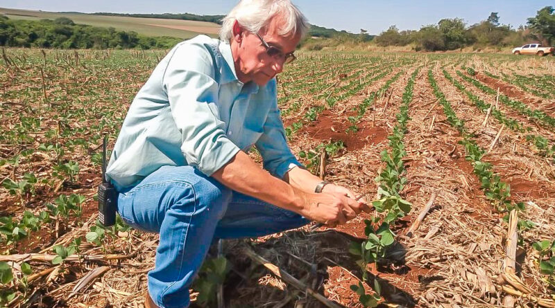 plantação de soja em Mato Grosso do Sul