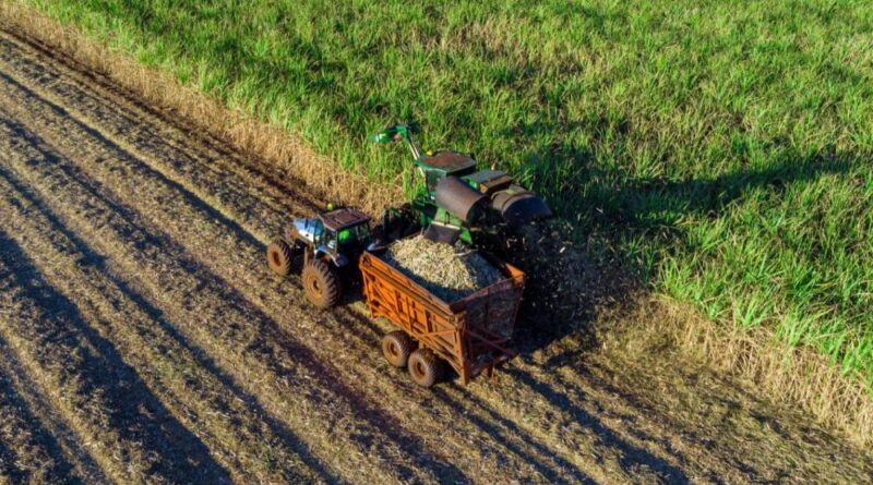 'A bancada do agro vai se fortalecer após as eleições municipais', diz analista
