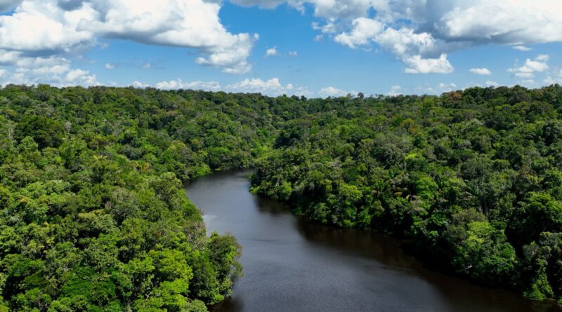 Amazônia