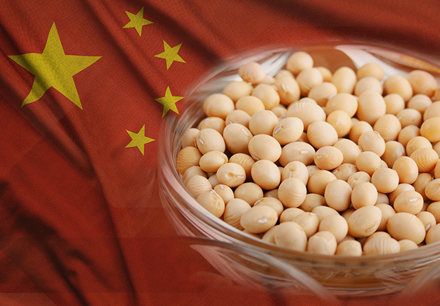 China soja