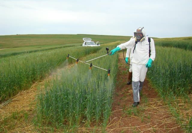 PL dos Defensivos - anvisa - carbendazim