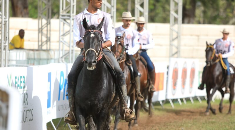 mangalarga marchador