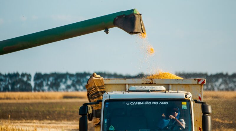 Exportações do agro continuam em alta na Bahia