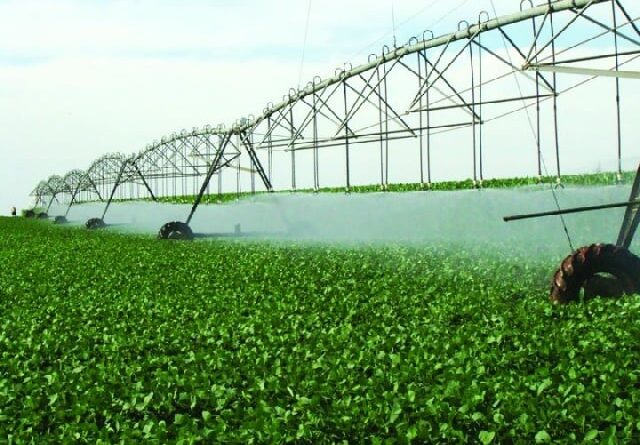 IRRIGAÇÃO - agricultura irrigada