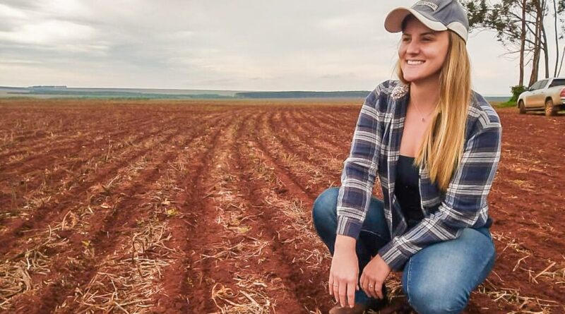 soja plantio semente MS terra